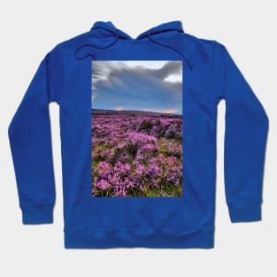 Storm brewing Over Pink Heather On The Yorkshire Moors Hoodie